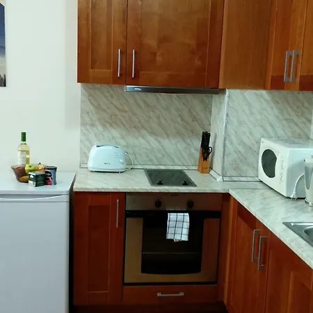 Pine Tree 2 - B7 バンスコ