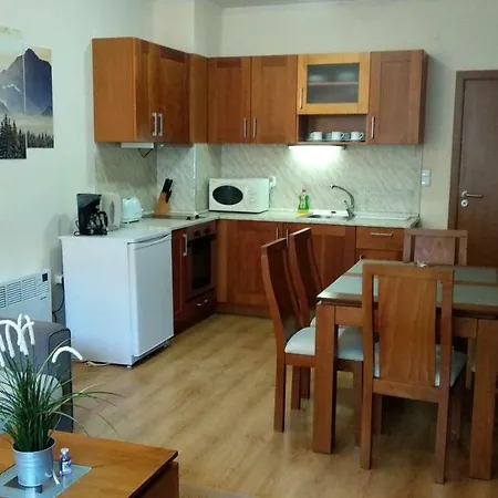 Pine Tree 2 - B7 Bansko