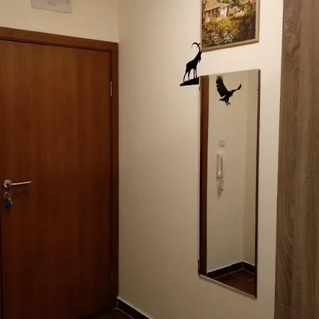 Pine Tree 2 - B7 Апартаменты Банско