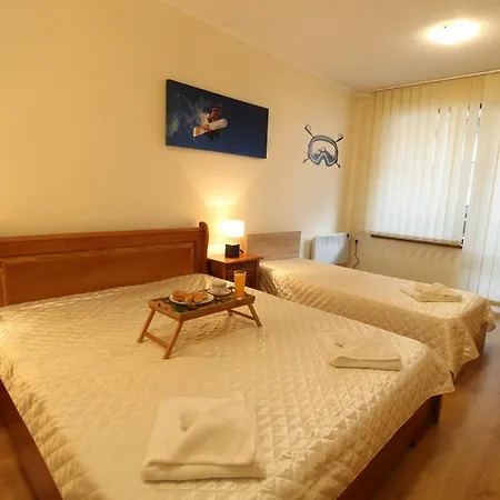 Pine Tree 2 - B7 بانسكو