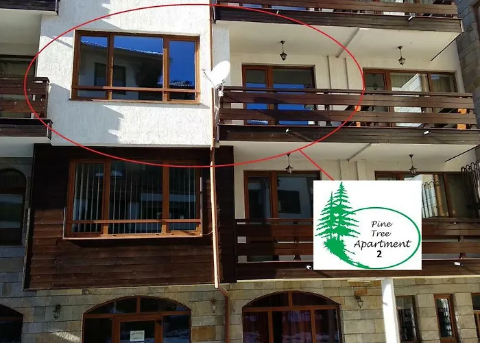 Pine Tree 2 - B7 公寓