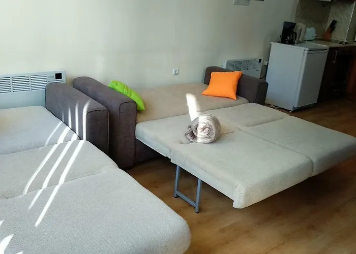 Pine Tree 2 - B7 * 반스코