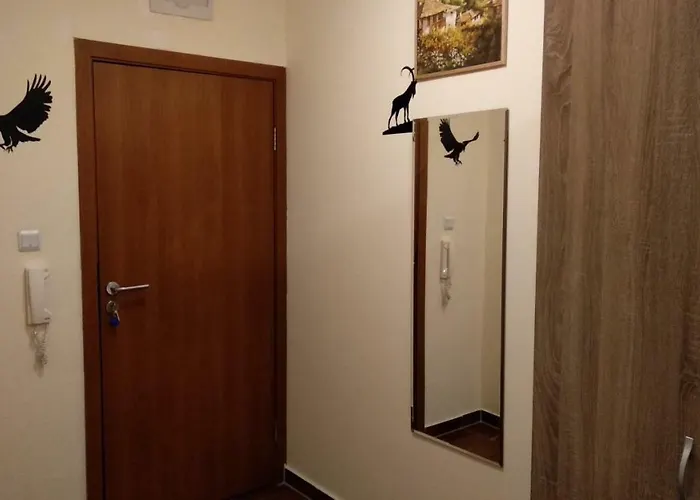 Pine Tree 2 - B7 아파트 반스코