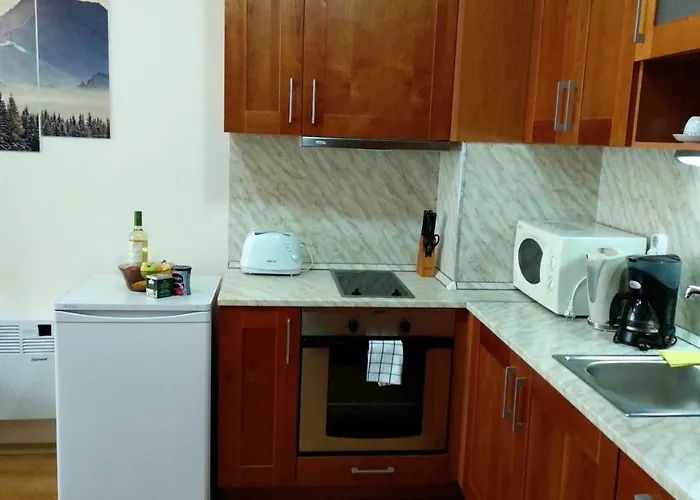 Pine Tree 2 - B7 班斯科